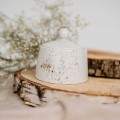 Zestaw deserowy na 6 osób - NAKRAPIANE ZŁOTEM Biały zestaw ze złotym zdobieniem Nadzwyczajnie.pl deserowy na 6 osób - NAKRAPIANE ZŁOTEM — porcelana premium