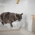 Biały kubek porcelanowy 500 ml - Z sierścią smakuje lepiej na dzień zwierząt dla miłośników psów i kotów Eleganckie opakowanie prezentowe kubka porcelanowego ze złotym zdobieniem Nadzwyczajnie.pl — Z sierścią smakuje lepiej