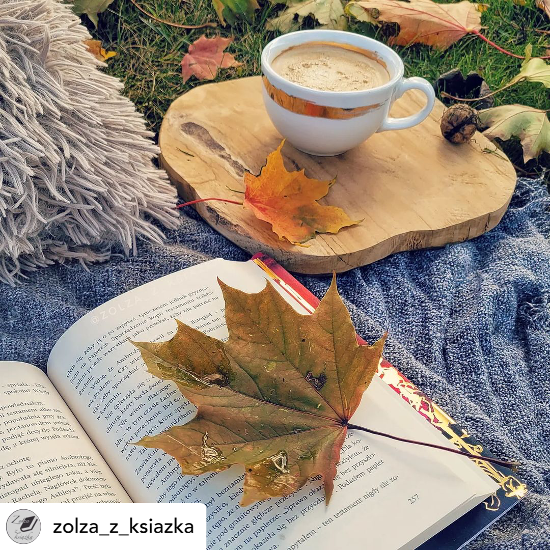 Nadzwyczajnie w social media